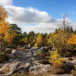 Fontainebleau - Chez Andrea